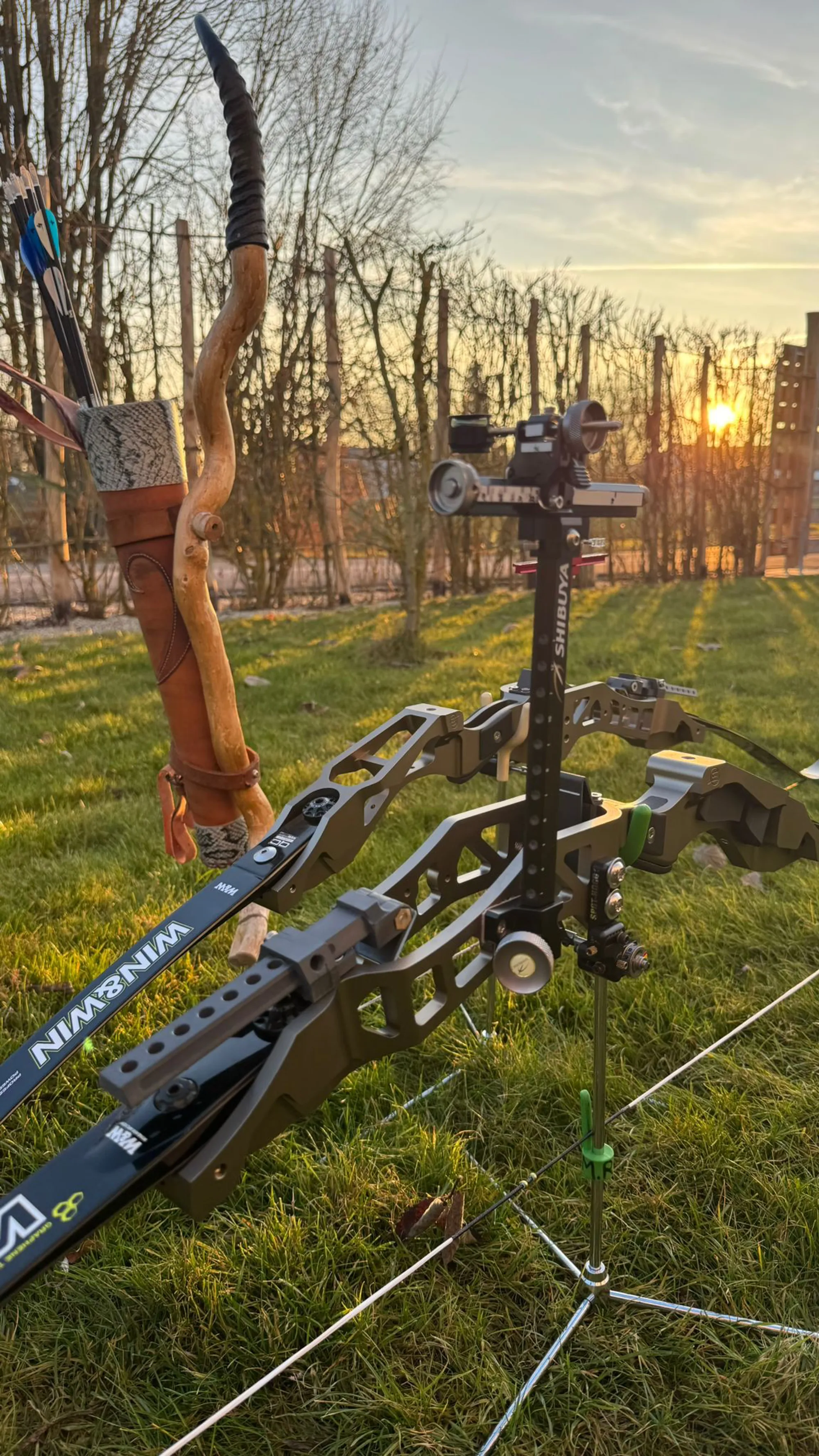 Hammerbows bow outdoors